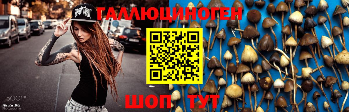 Нижнеудинск  Псилоцибиновые грибы MAGIC MUSHROOMS  Псилоцибиновые грибы мухоморы  Вход с VPN 